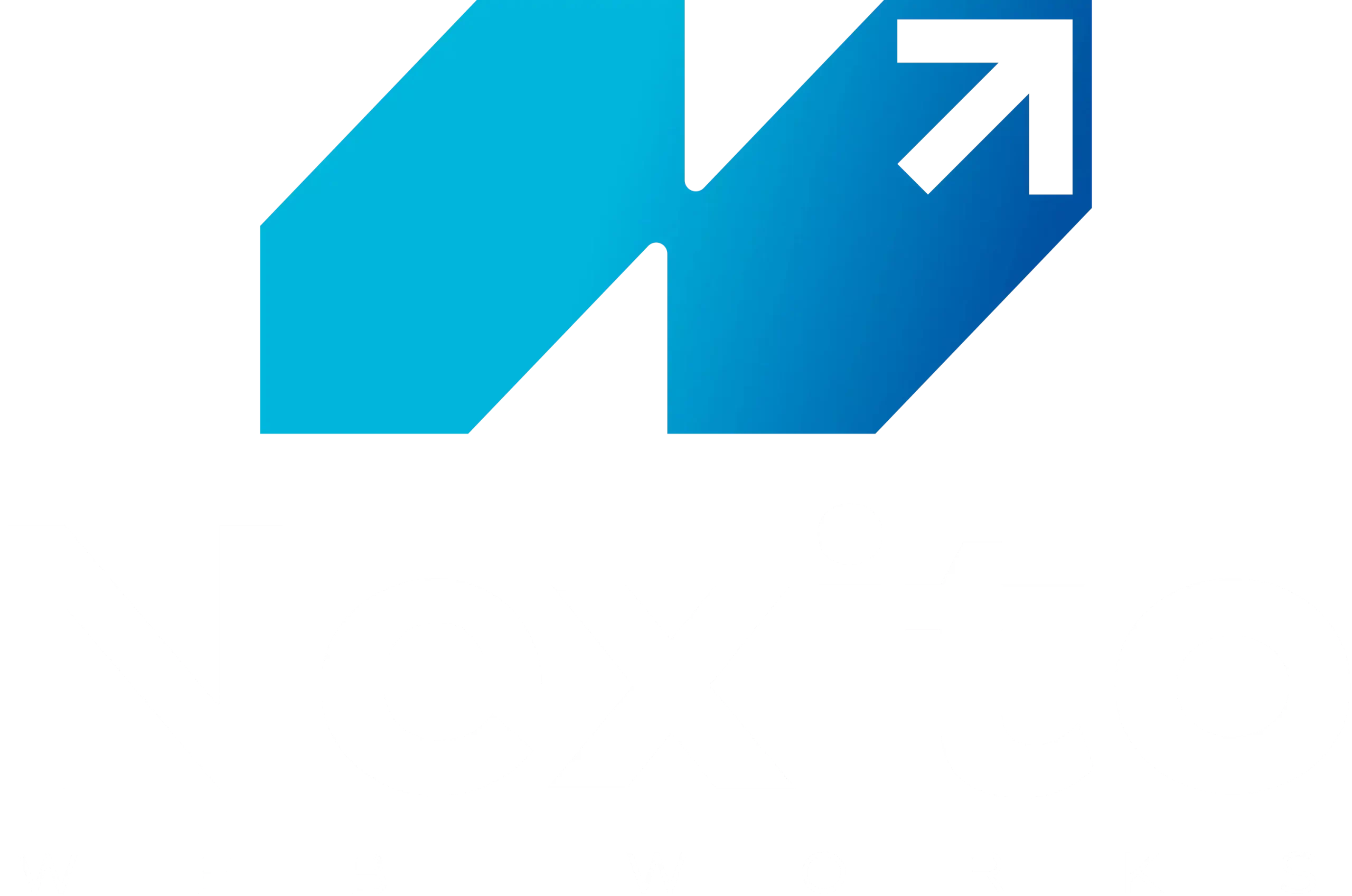 L1